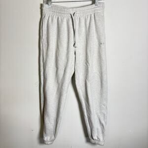TNA Aritzia Sweatfleece Boyfriend Sweatpants Cozy Fleece Joggers Womens M Gray